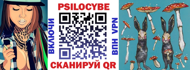 Псилоцибиновые грибы Cubensis  Сольцы 